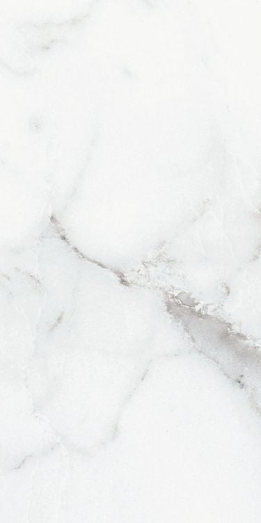 Origines Argent Matte 12 x 24