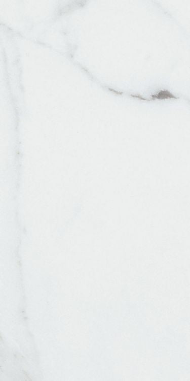 Origines Argent Matte 12 x 24