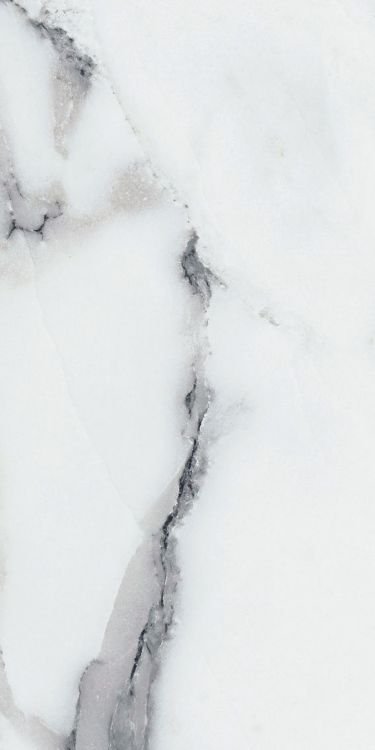 Origines Argent Matte 12 x 24