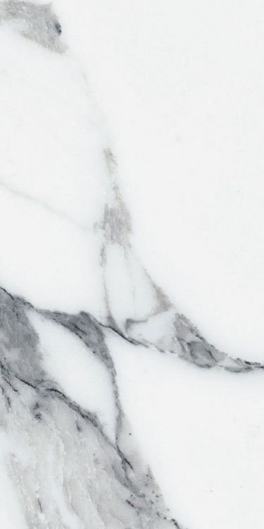 Origines Argent Matte 12 x 24