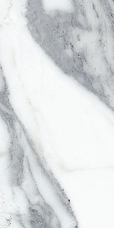 Origines Argent Matte 12 x 24