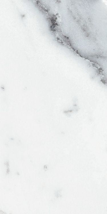 Origines Argent Matte 12 x 24