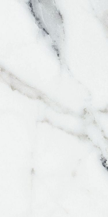 Origines Argent Matte 24 x 48