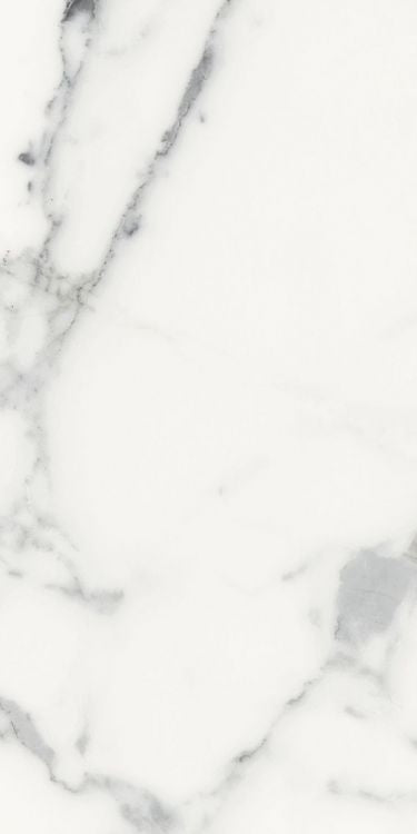 Origines Blanc Matte 12 x 24