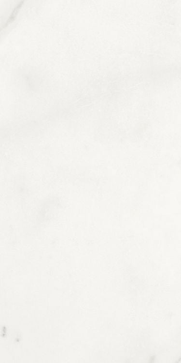 Origines Blanc Matte 12 x 24