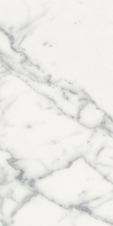 Origines Blanc Matte 12 x 24