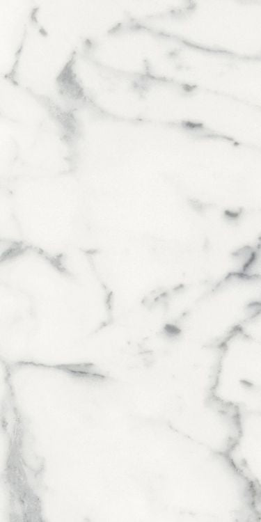 Origines Blanc Matte 12 x 24