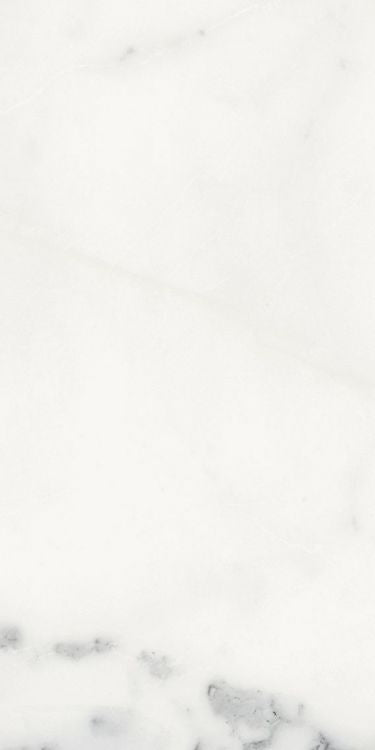 Origines Blanc Matte 12 x 24