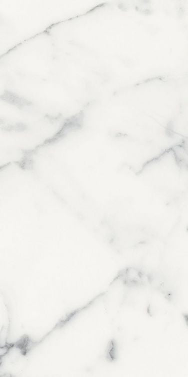 Origines Blanc Matte 12 x 24