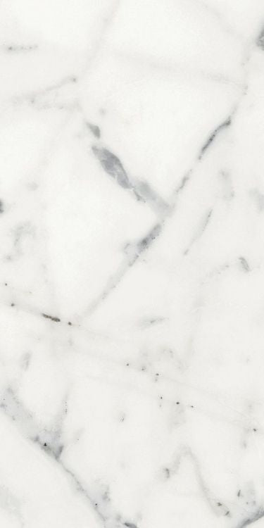 Origines Blanc Matte 12 x 24