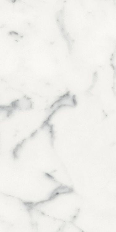 Origines Blanc Matte 12 x 24