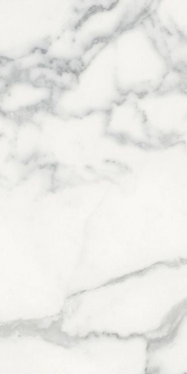 Origines Blanc Matte 12 x 24