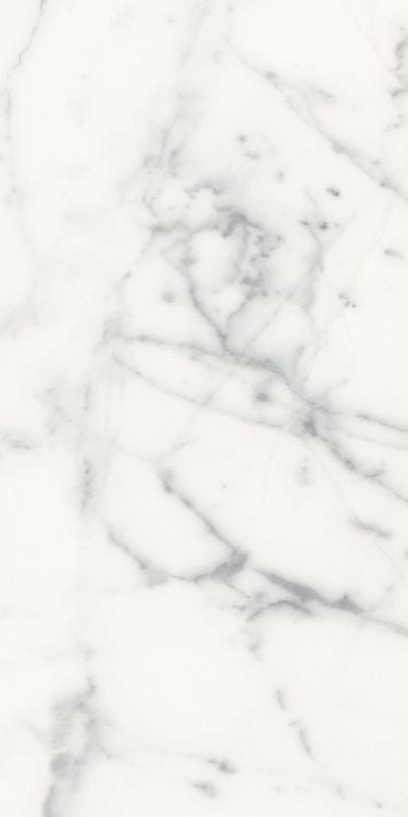 Origines Blanc Matte 12 x 24