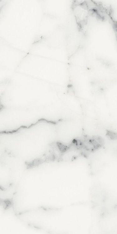 Origines Blanc Matte 12 x 24