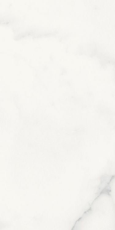 Origines Blanc Matte 12 x 24