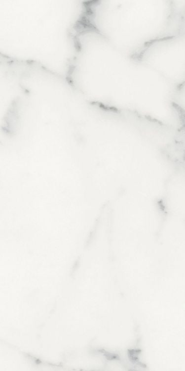 Origines Blanc Matte 12 x 24