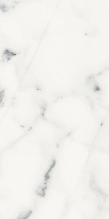 Origines Blanc Matte 12 x 24