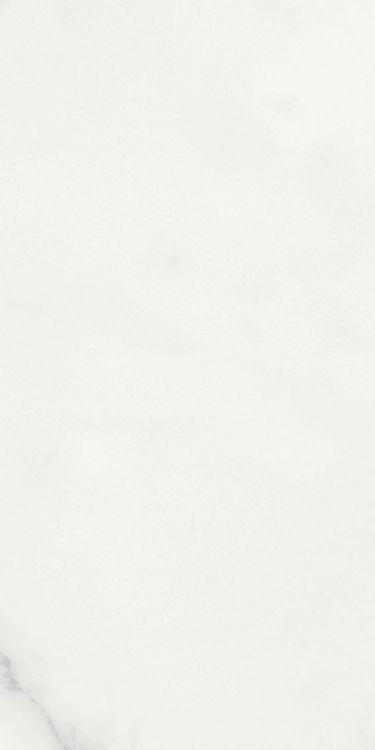 Origines Blanc Matte 12 x 24