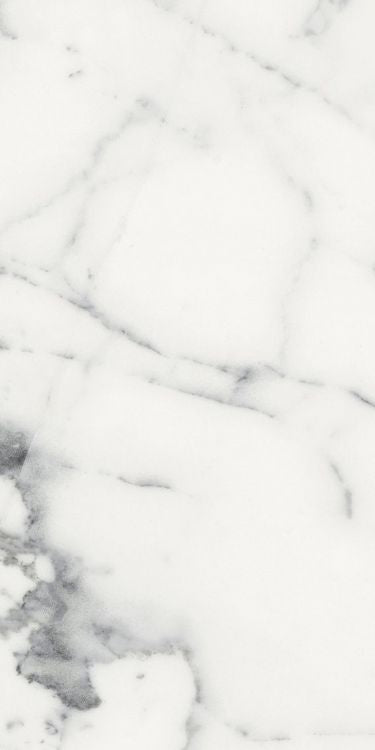 Origines Blanc Matte 12 x 24