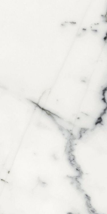 Origines Blanc Matte 12 x 24