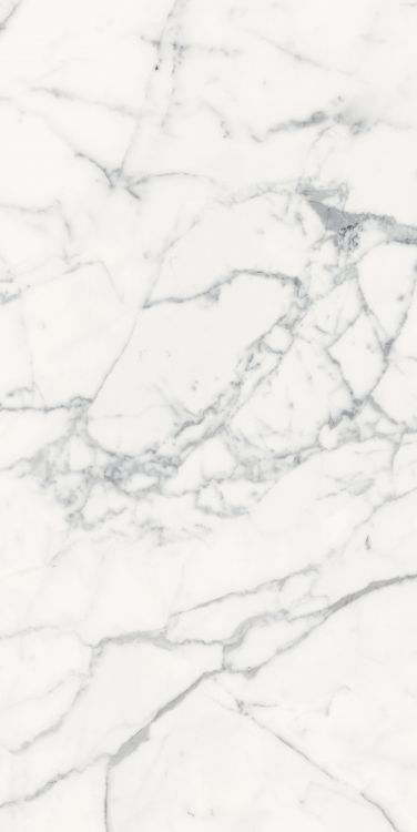 Origines Blanc Matte 24 x 48