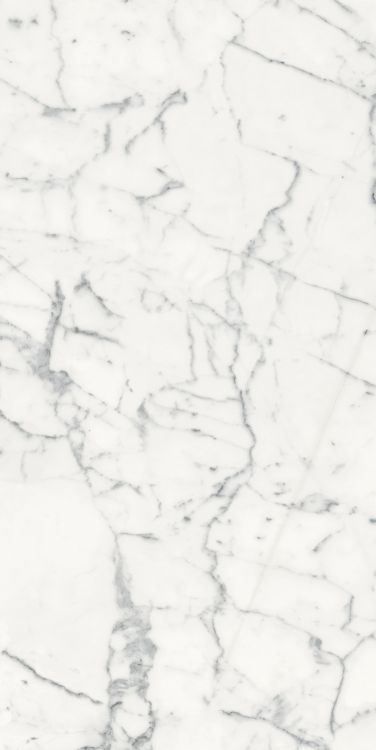 Origines Blanc Matte 24 x 48