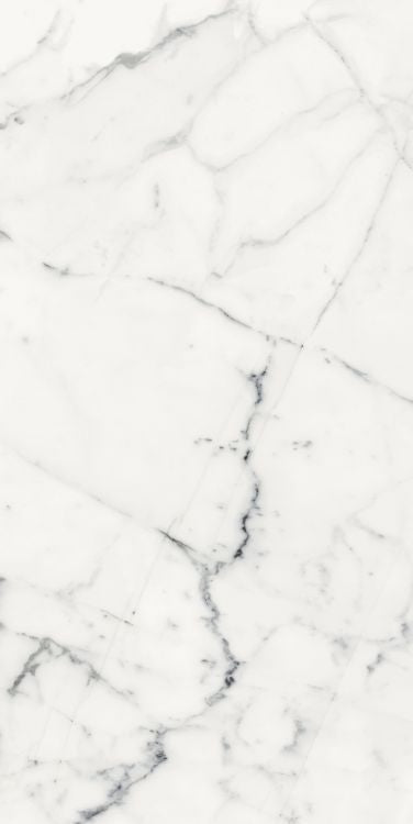 Origines Blanc Matte 24 x 48