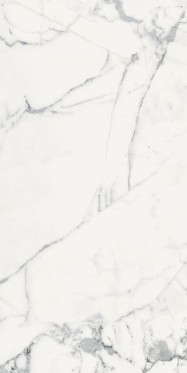 Origines Blanc Matte 24 x 48