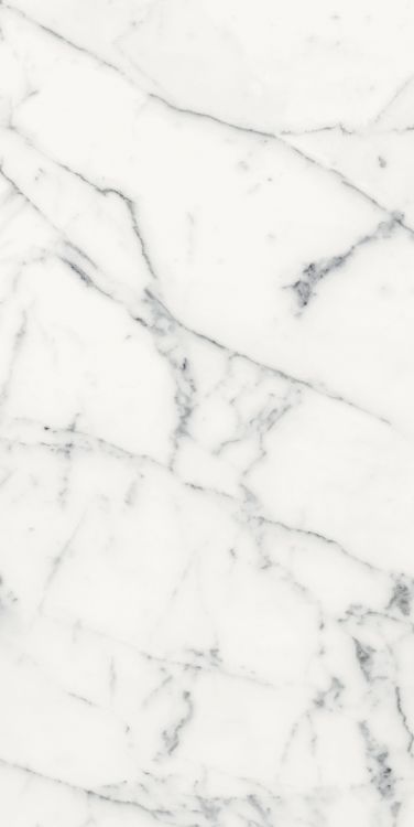 Origines Blanc Matte 24 x 48