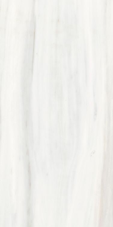 Origines Ombre Doree Matte 24 x 48 - Hexagon Interiors