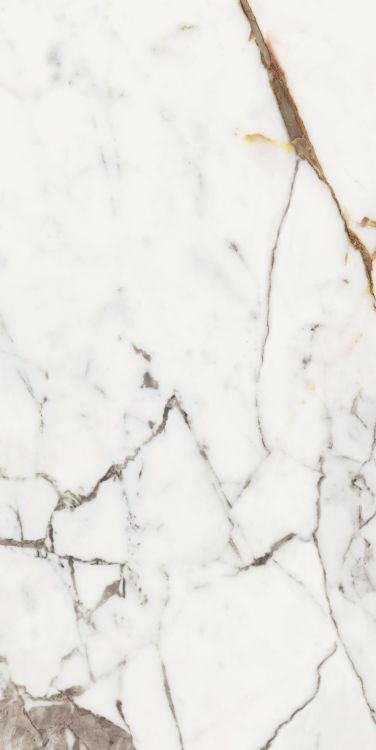 Origines Or Glossy 24 x 48