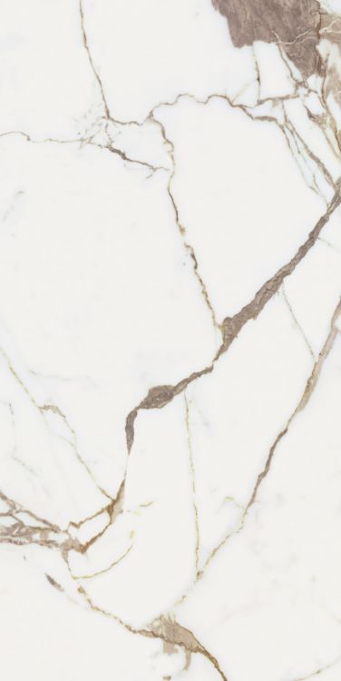 Origines Or Glossy 24 x 48