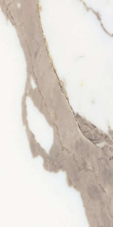 Origines Or Matte 12 x 24 - Hexagon Interiors