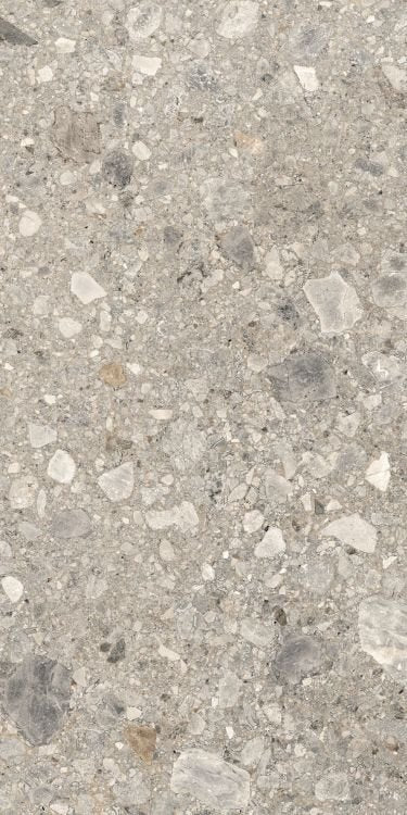 Orobica Beige Matte 24 x 48