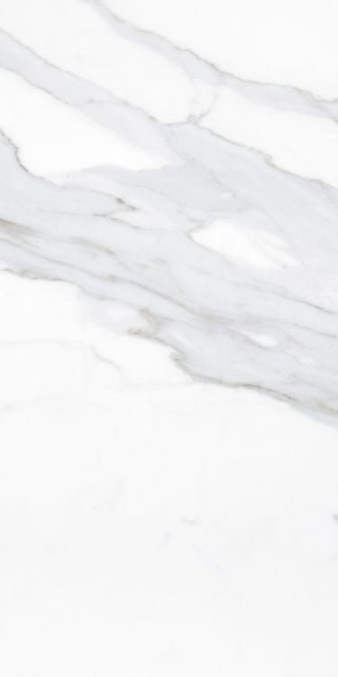 Prestigio Calacatta Lucido 12 x 24