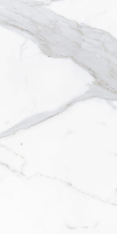 Prestigio Calacatta Lucido 12 x 24