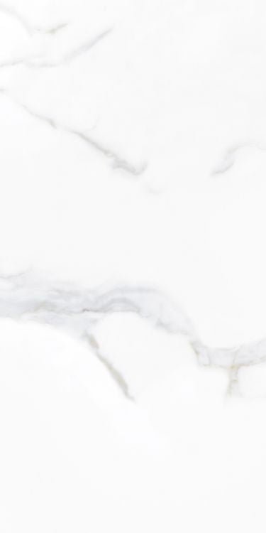 Prestigio Calacatta Lucido 12 x 24