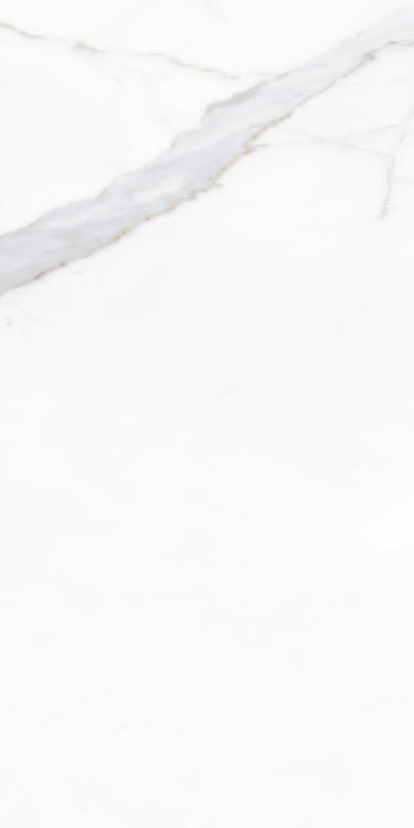 Prestigio Calacatta Soft 12 x 24