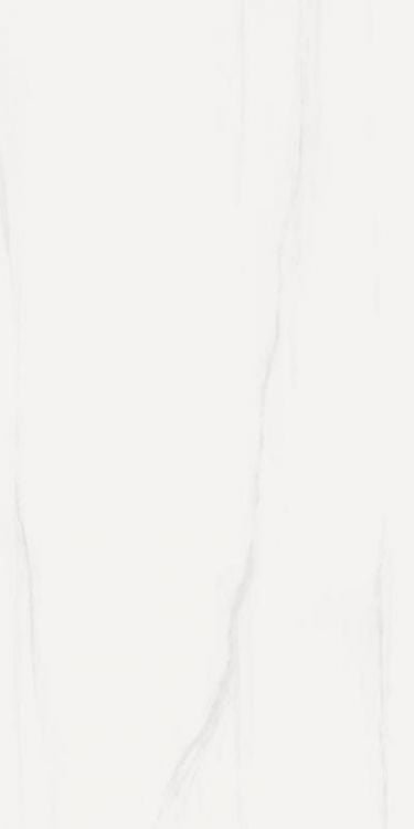 Prestigio Dolomite Lucido 24 x 48 - Hexagon Interiors