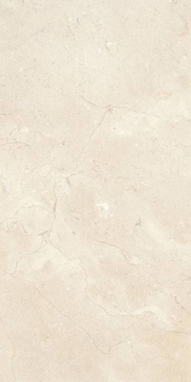 Prestigio Marfil Lucido 24 x 48 - Hexagon Interiors
