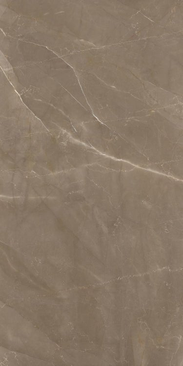 Prestigio Pulpis Lucido 12 x 24 - Hexagon Interiors