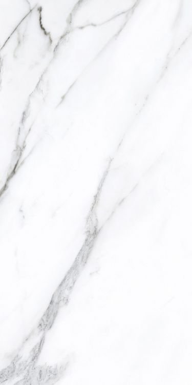 Prestigio Statuario Soft 24 x 48 - Hexagon Interiors