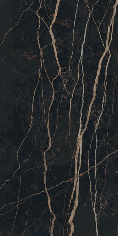 Prexious Thunder Night Glossy 12 x 24