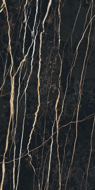 Prexious Thunder Night Glossy 12 x 24