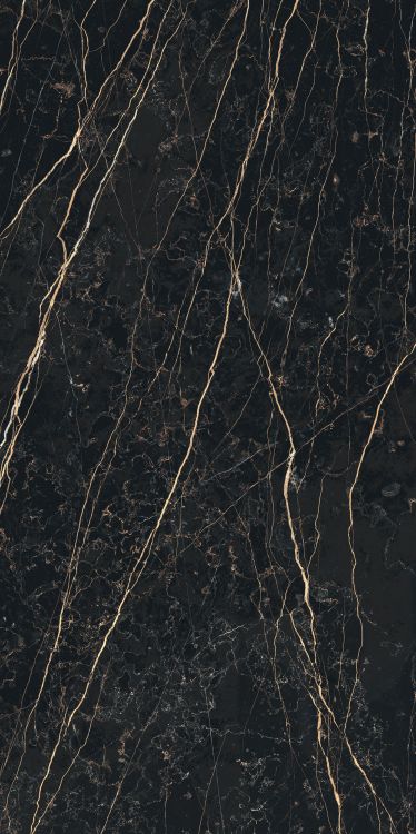 Prexious Thunder Night Glossy 24 x 48