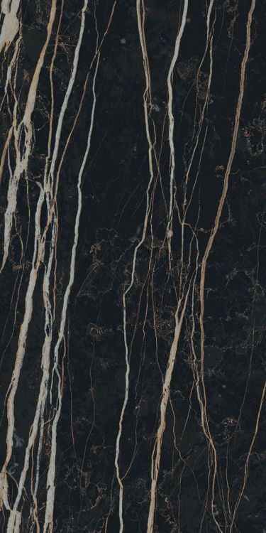 Prexious Thunder Night Matte 12 x 24