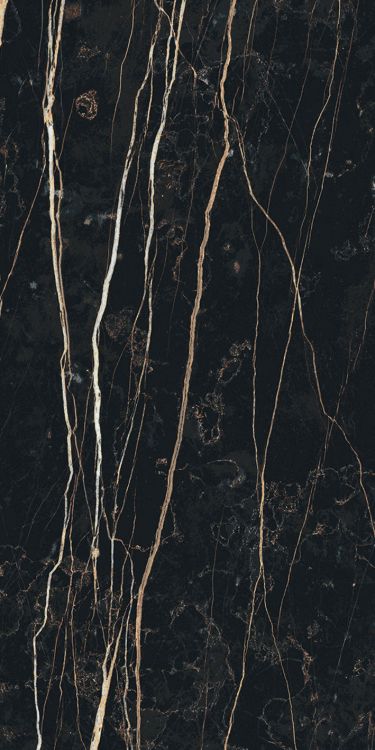 Prexious Thunder Night Matte 12 x 24