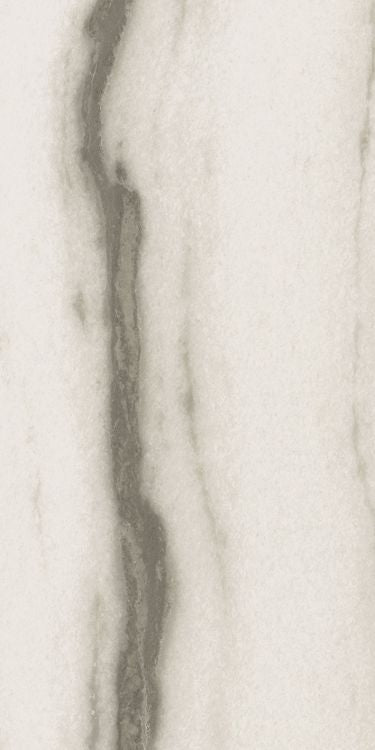 Prexious White Fantasy Matte 12 x 24