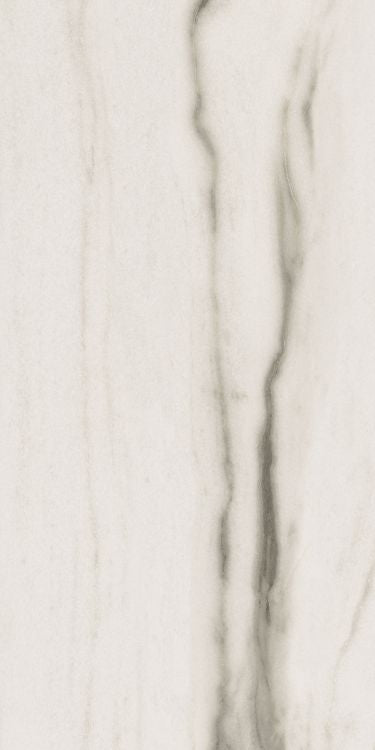 Prexious White Fantasy Matte 24 x 48