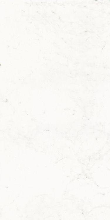 Pure Carrara Lux 24 x 48